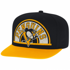 Бейсболка с прямым козырьком CCM Arched Snapback SR